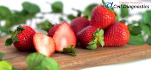 投稿についてもっと詳しく 【2026年版】フリーズドライ装置導入で失敗しない5つの技術ポイント｜温度・真空・ポンプ選定を解説